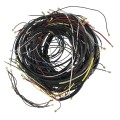 0691-7273.21cce939 (1).jpg
