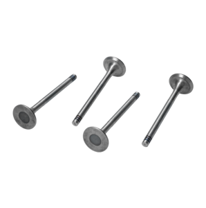 Zawór wydechowy 32x8mm  T1, T14 4szt.